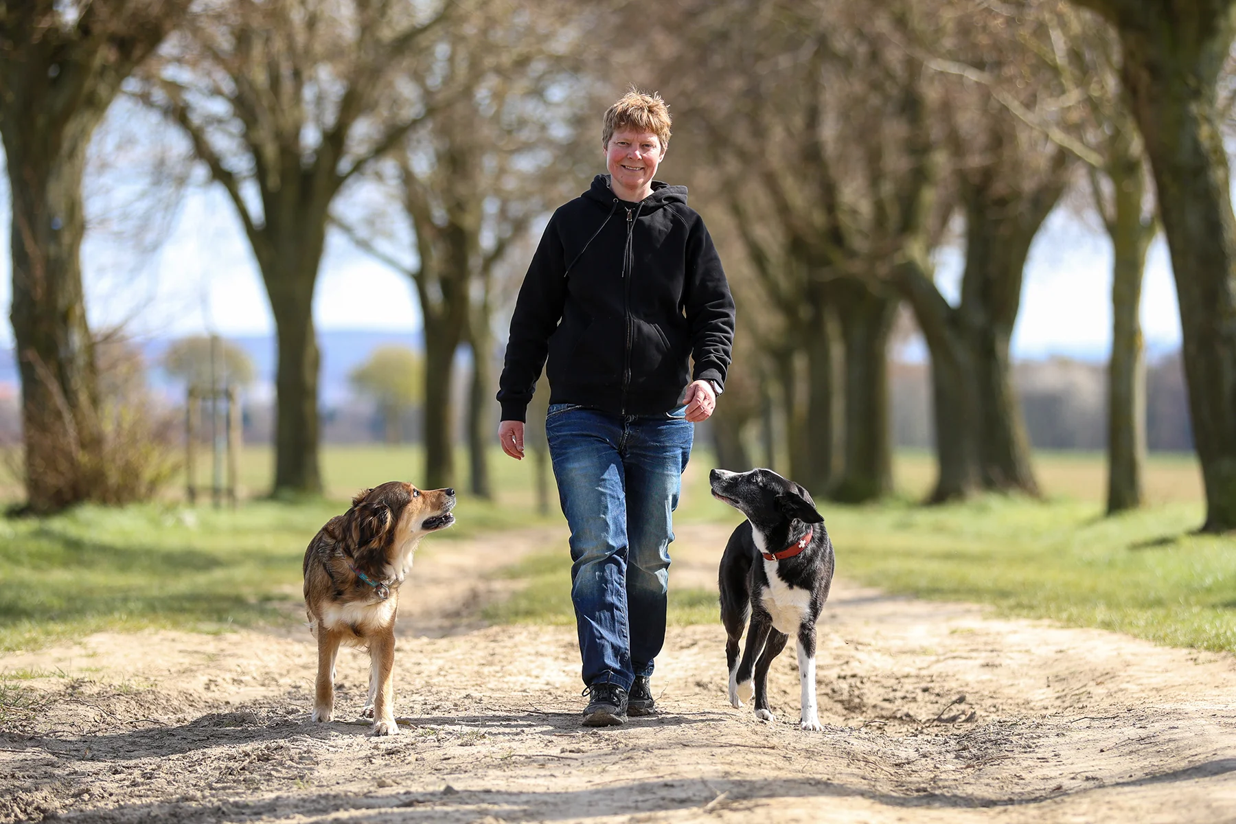 Training mit Hunden.