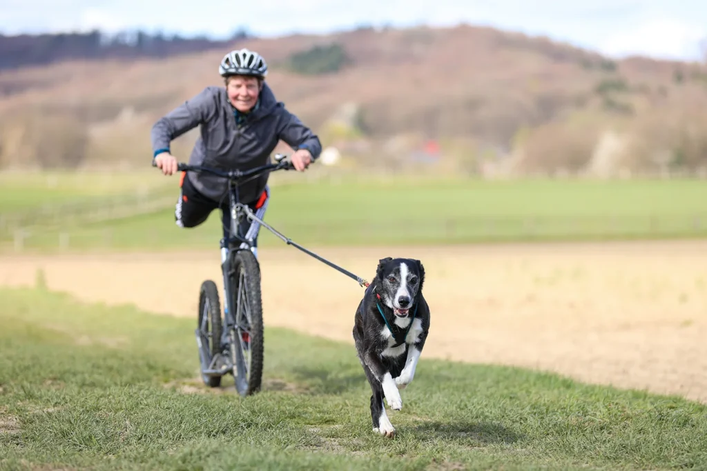 Zughundesport mit dem Scooter.