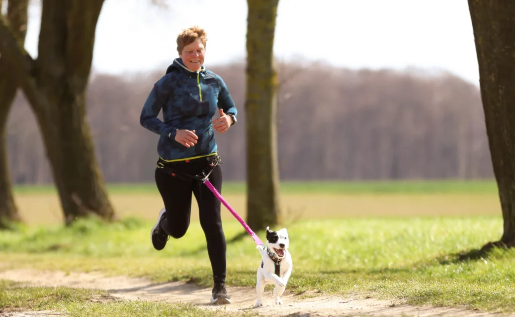 zughundesport mit kleinem hund