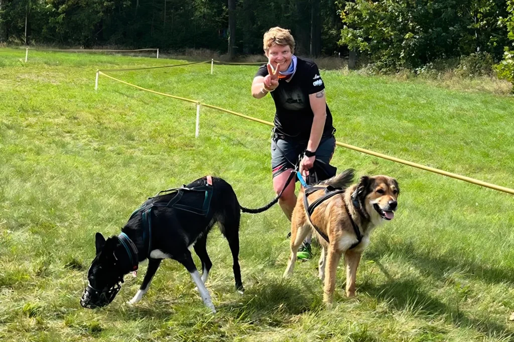 Zughunde mit Lisa